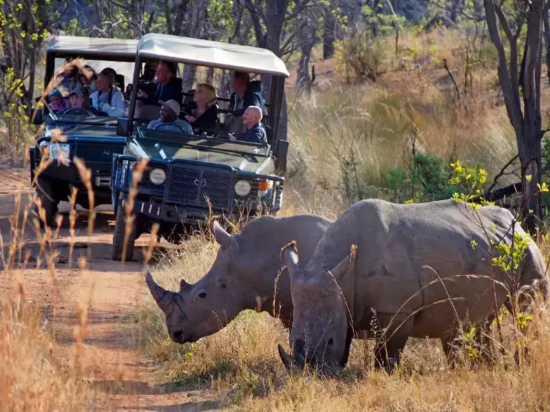 safari afrique