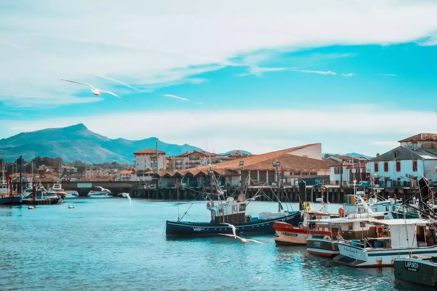 5 raisons de choisir Saint-Jean-de-Luz pour vos prochaines vacances en famille