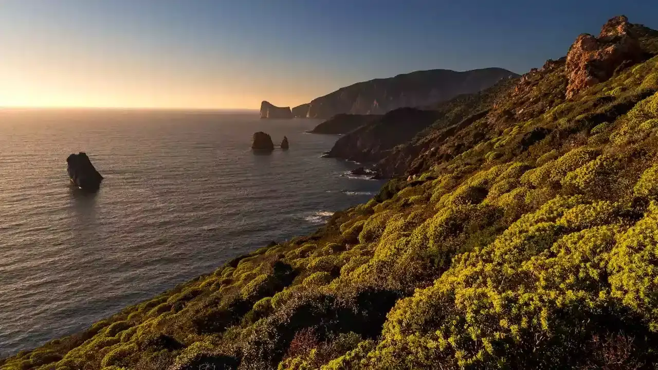 Partir en Sardaigne en Juillet ? Ce qu'il faut retenir !