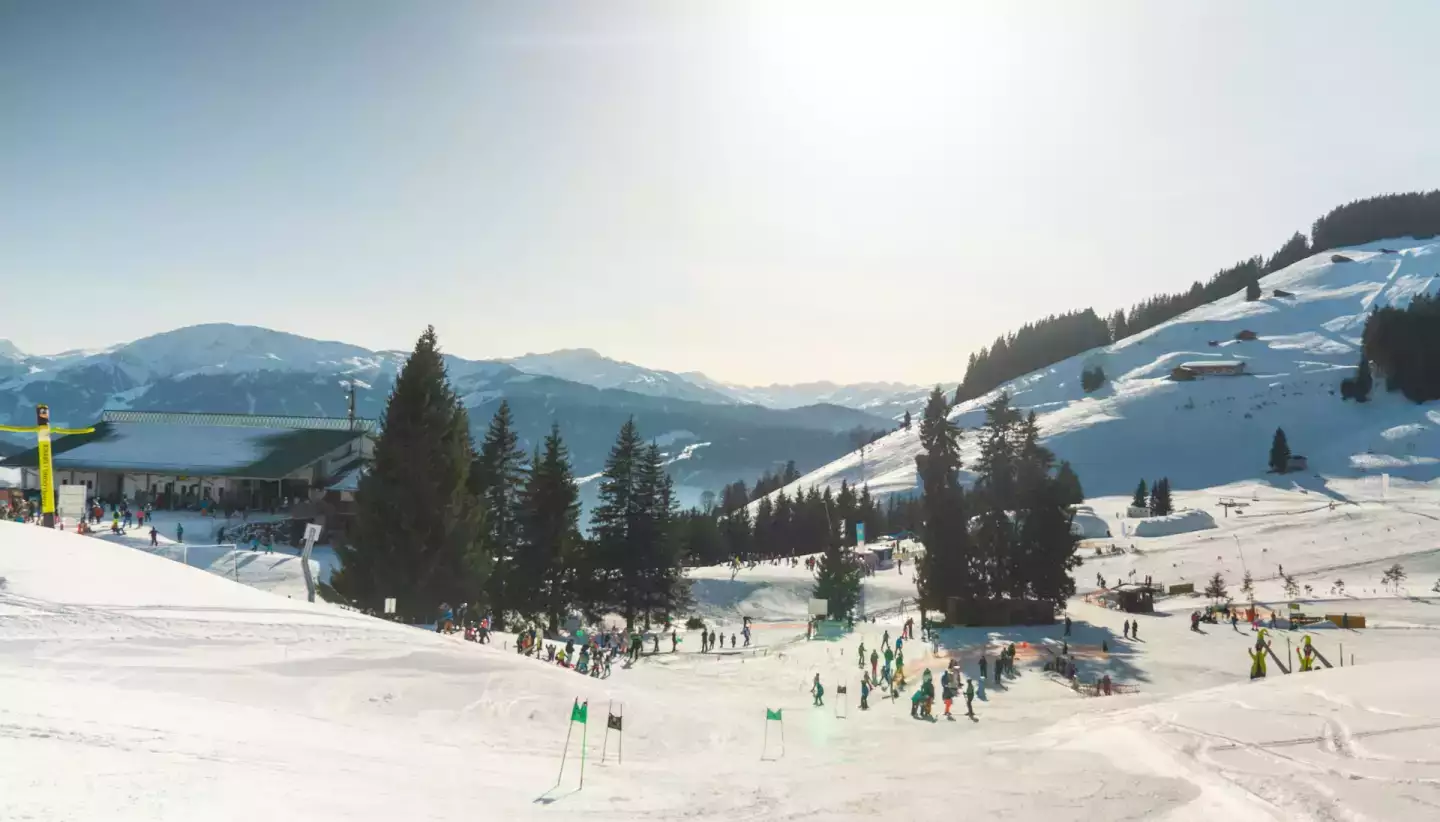 skier