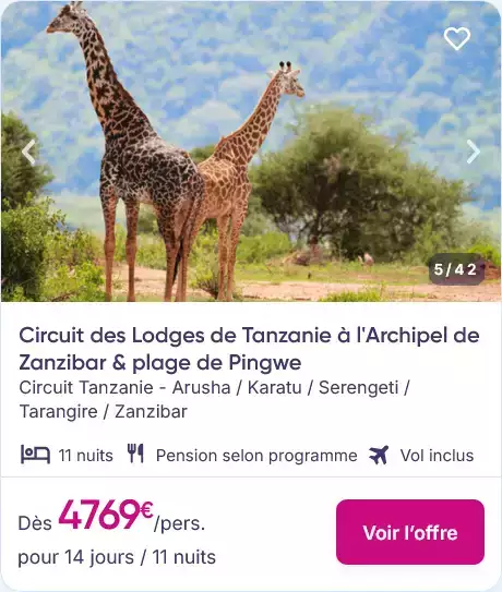 offre voyage