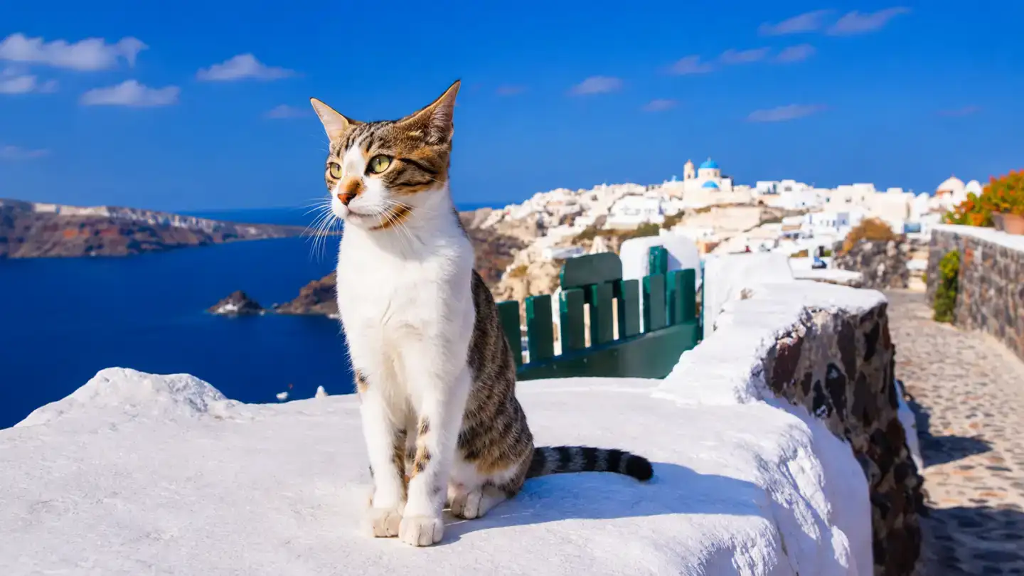 Grèce : cette île propose de vous loger gratuitement, mais il y a une condition