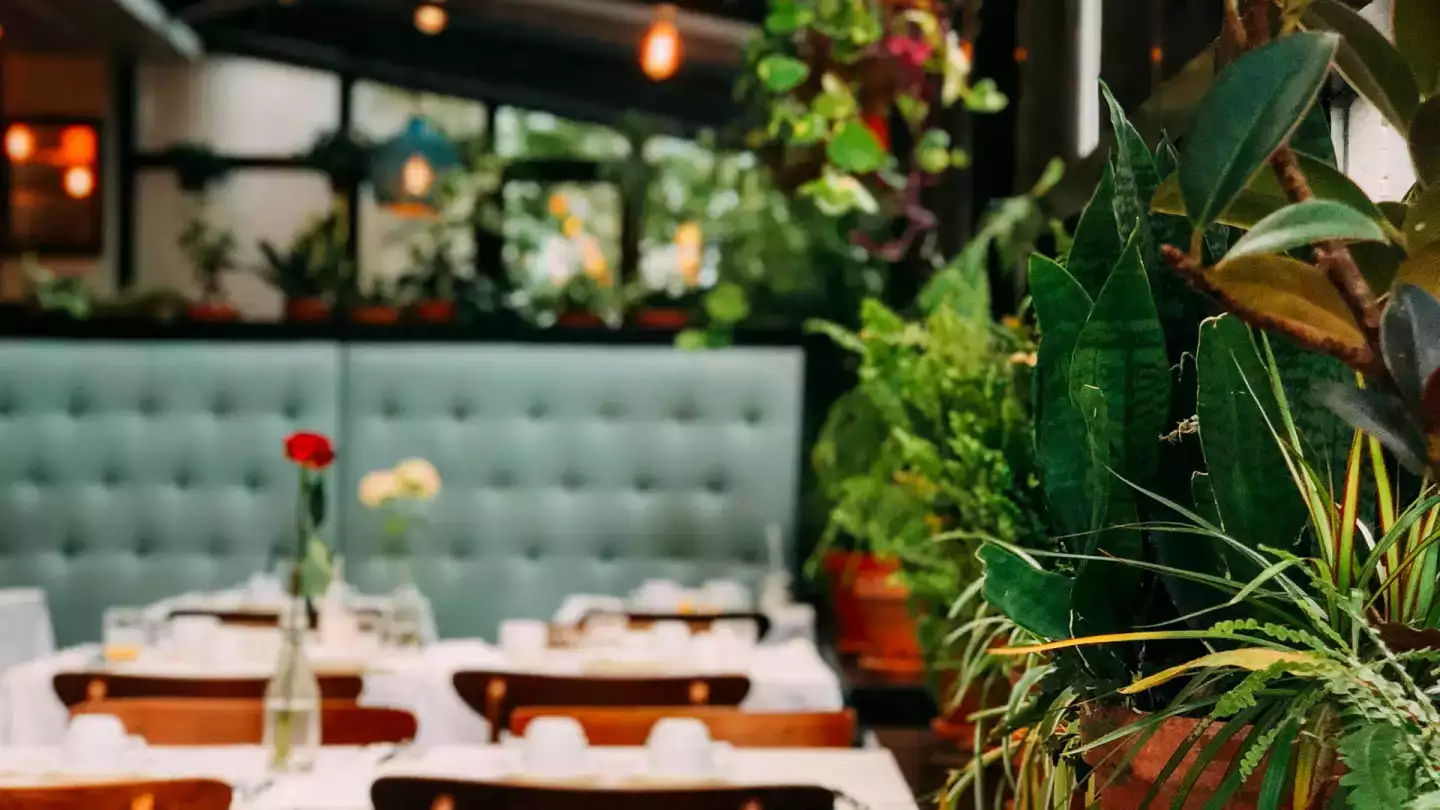 Nos conseils pour choisir un restaurant à Bruxelles