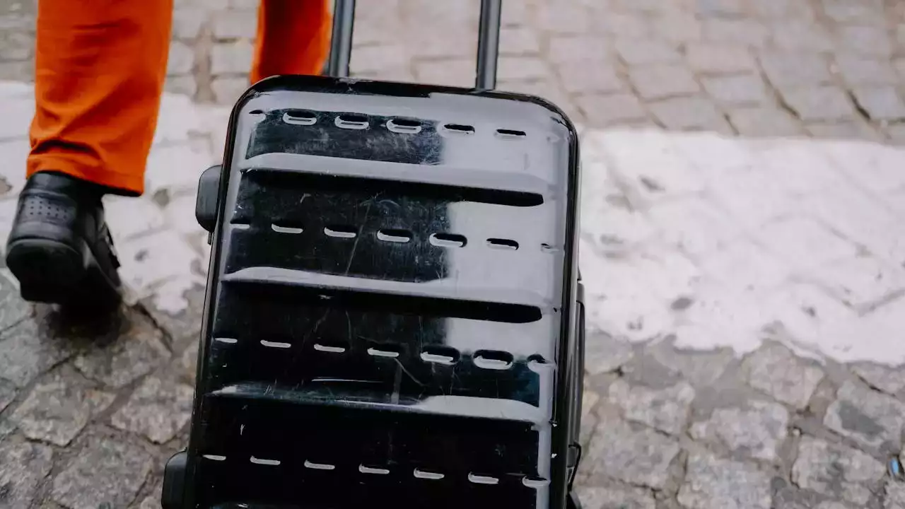 valise