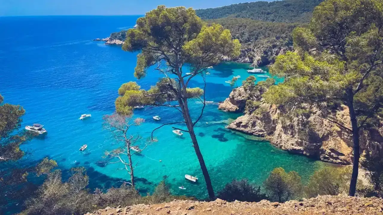 Échapper à la routine : 7 raisons de camper dans le Var cet été