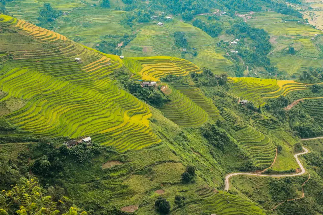vietnam