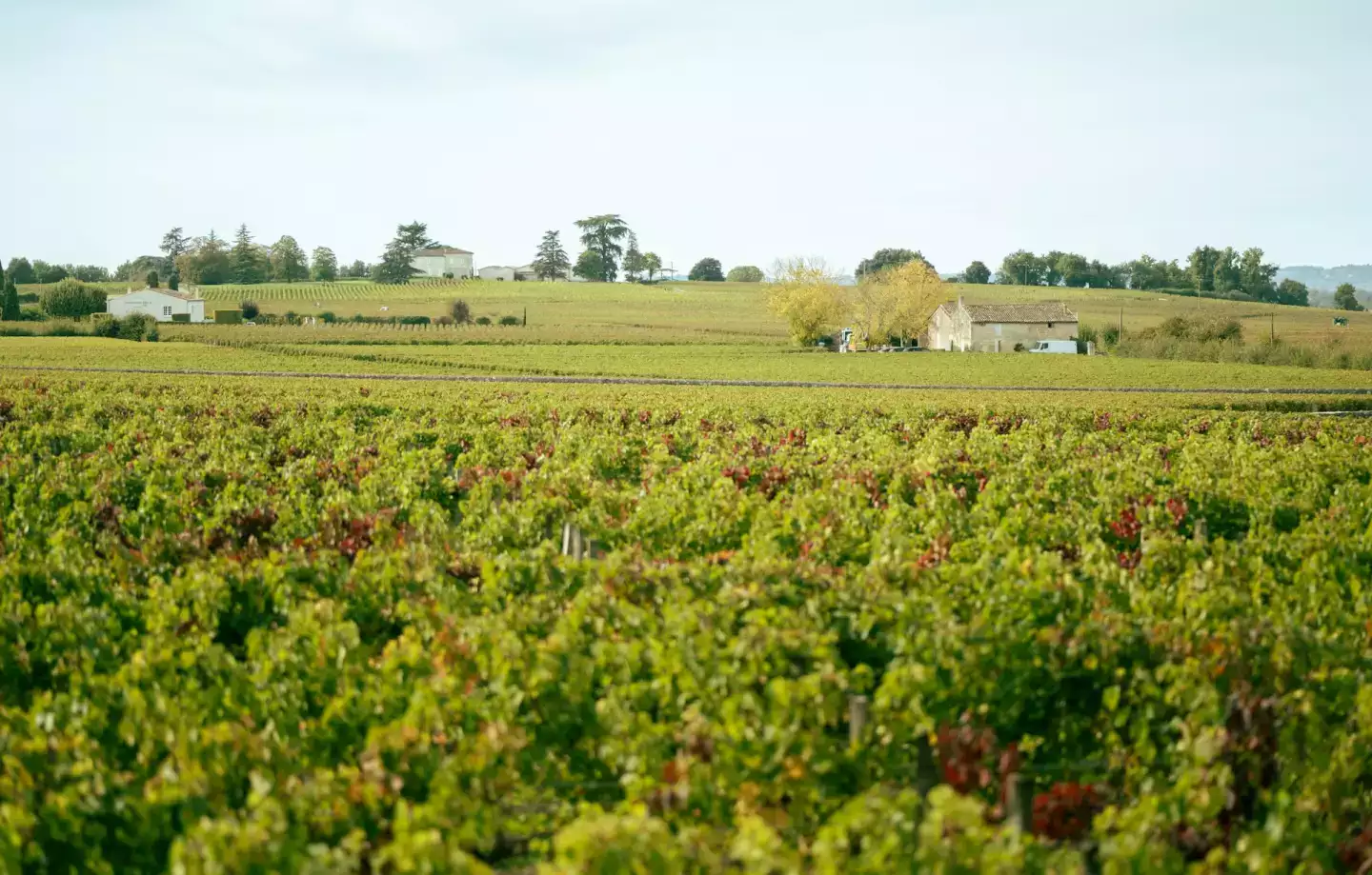 Comment organiser un road-trip dans le vignoble bordelais en 2-3 jours