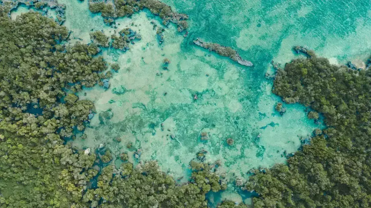Partir à Zanzibar en Juin ? Ce qu'il faut retenir !