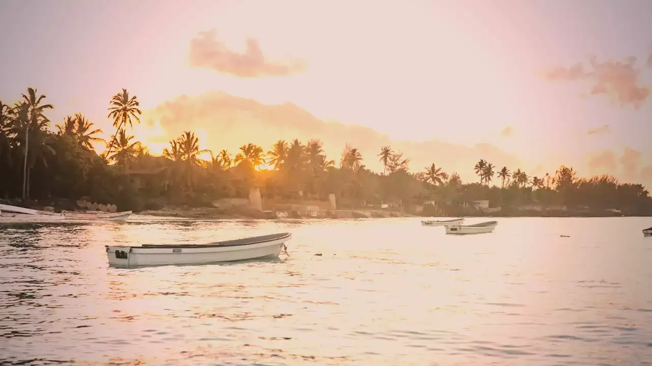 Partir à Zanzibar en Août ? Ce qu'il faut retenir !