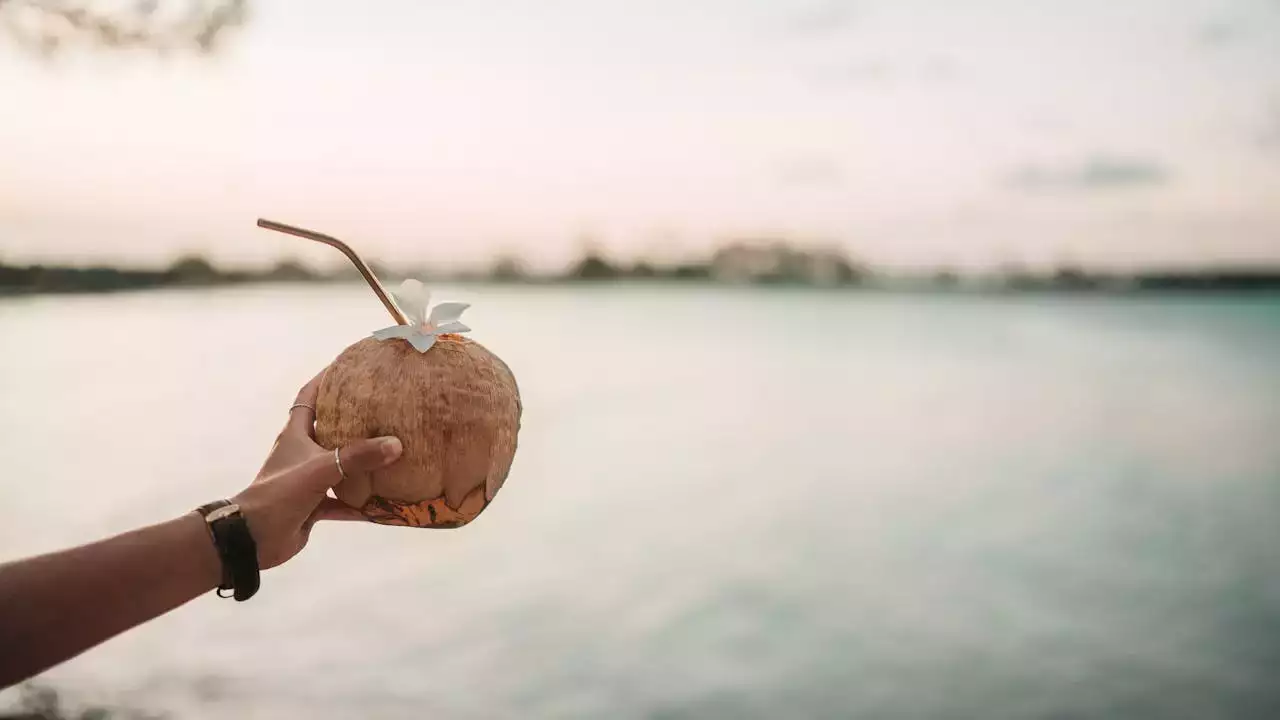 Partir à Zanzibar en septembre ? Ce qu'il faut retenir !