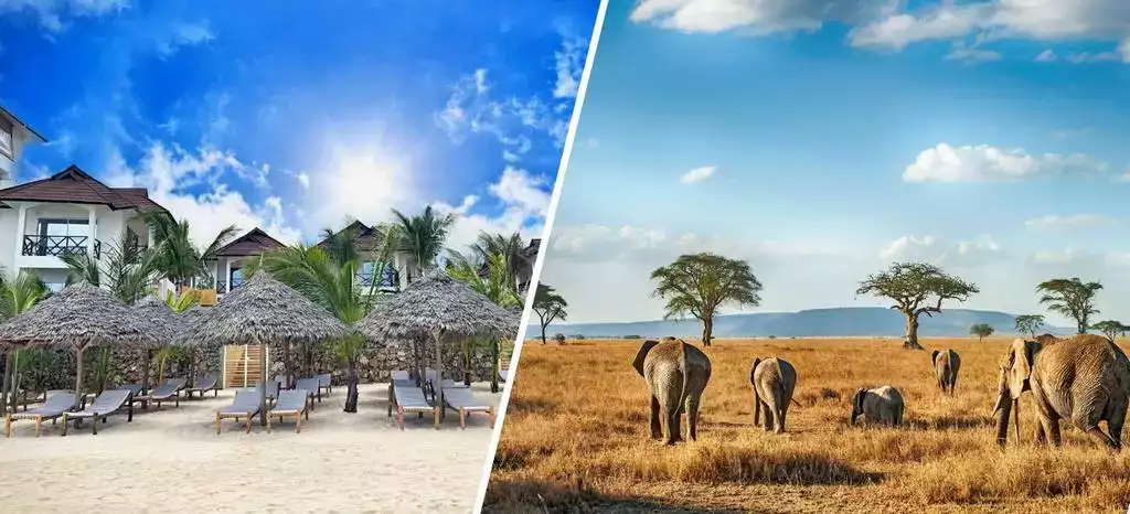 Séjour Tanzanie & Zanzibar 15 Jours : Ce qu'il faut retenir !
