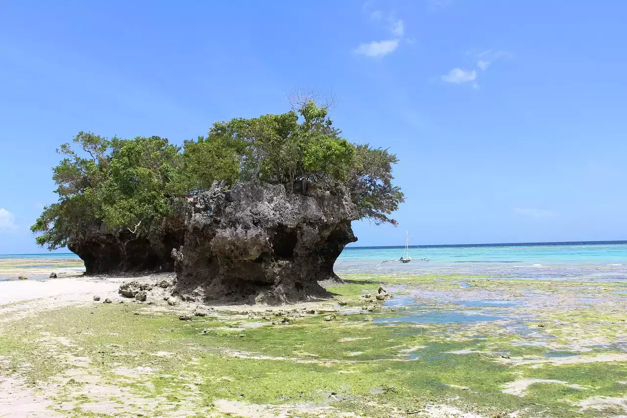 Zanzibar
