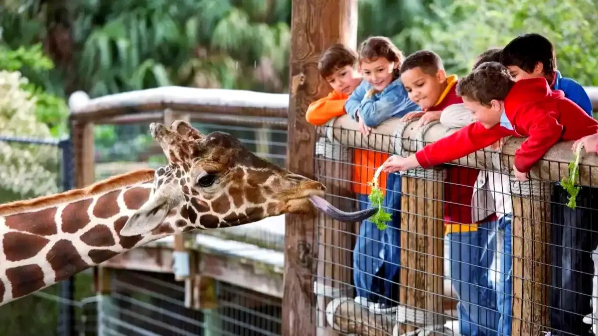 « Mon fils a pleuré devant un aquarium » : l'animal de Beauval dont personne ne parle