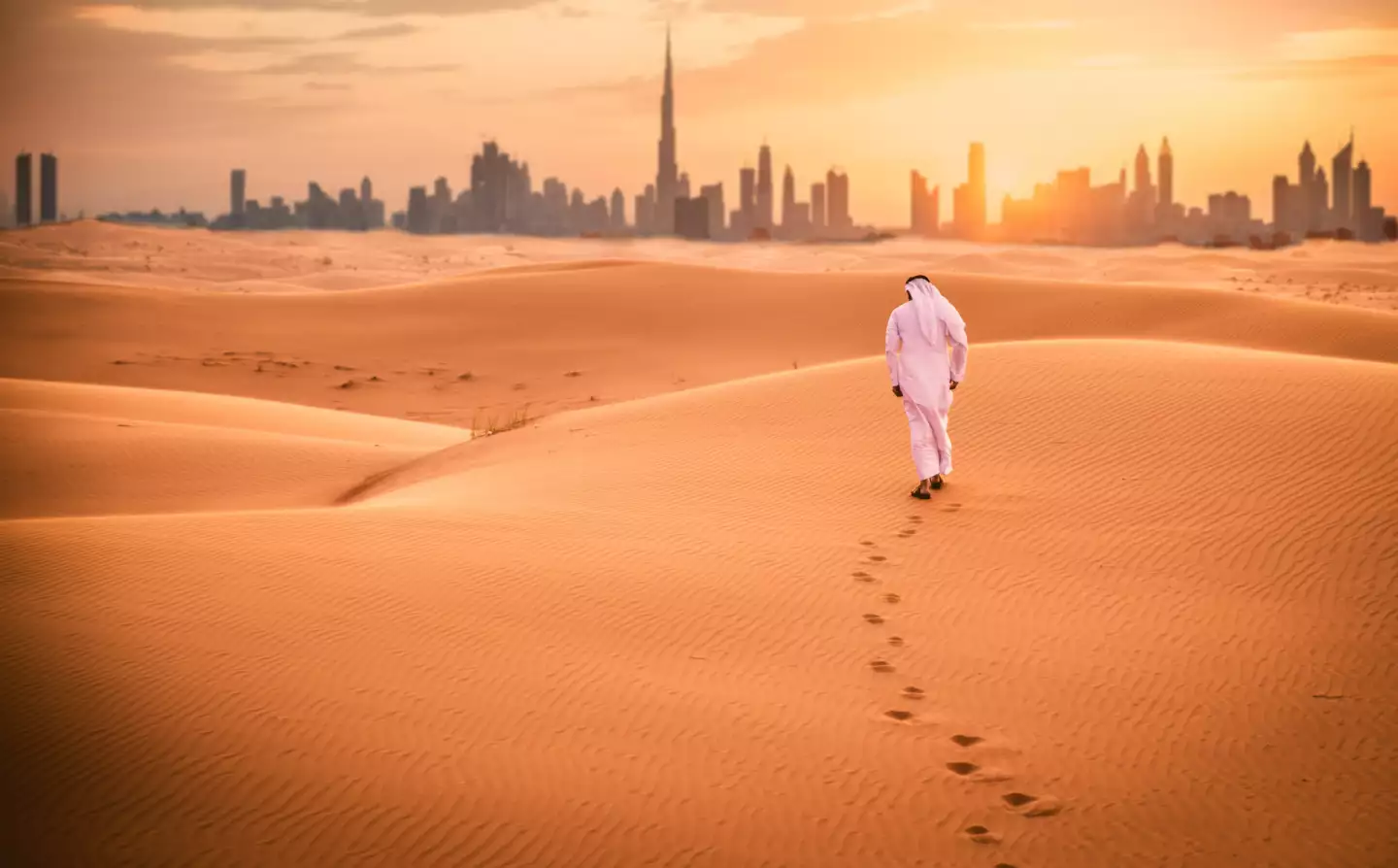Dubaï : le vrai coût d'un safari dans le désert, souvent absent du prix affiché