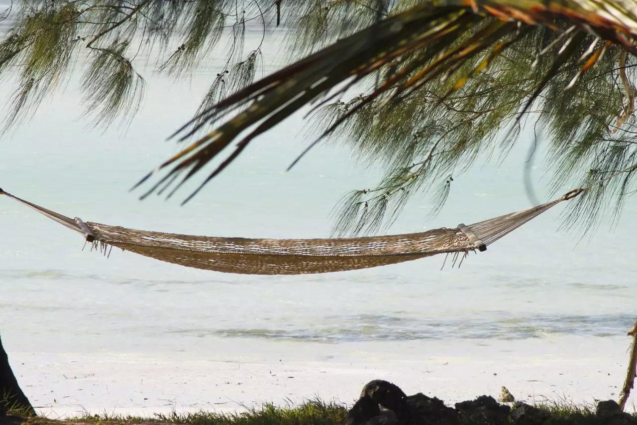 Séjour en Tanzanie