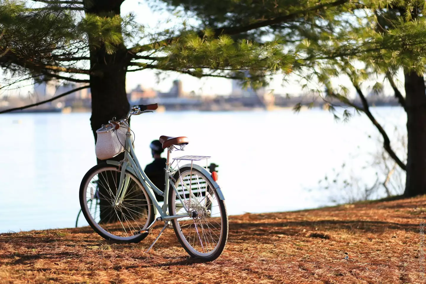 fleuve velo